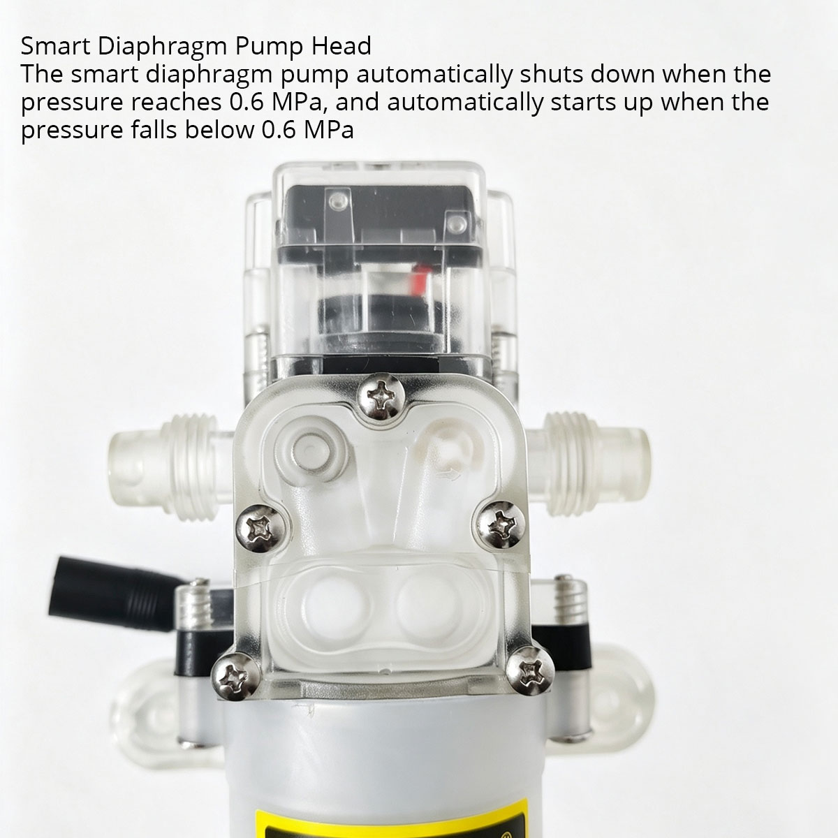12V 80W Food Grade Diaphragm P - Mini Peristaltic Pump 12V 评论和价格